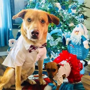 Meet your Posher, Carlos